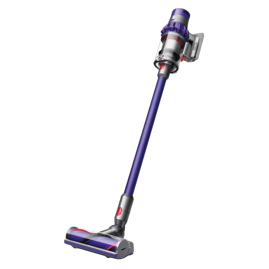 Dyson v10 animal