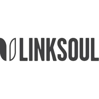 Linksoul